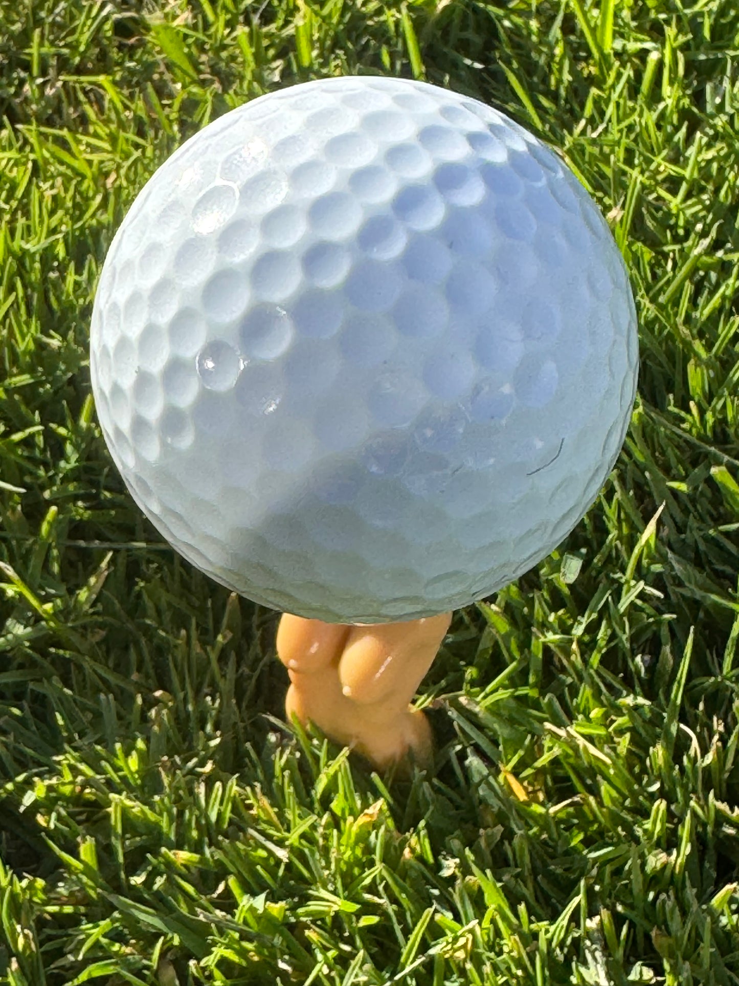 Lot de 5 tees humoristiques