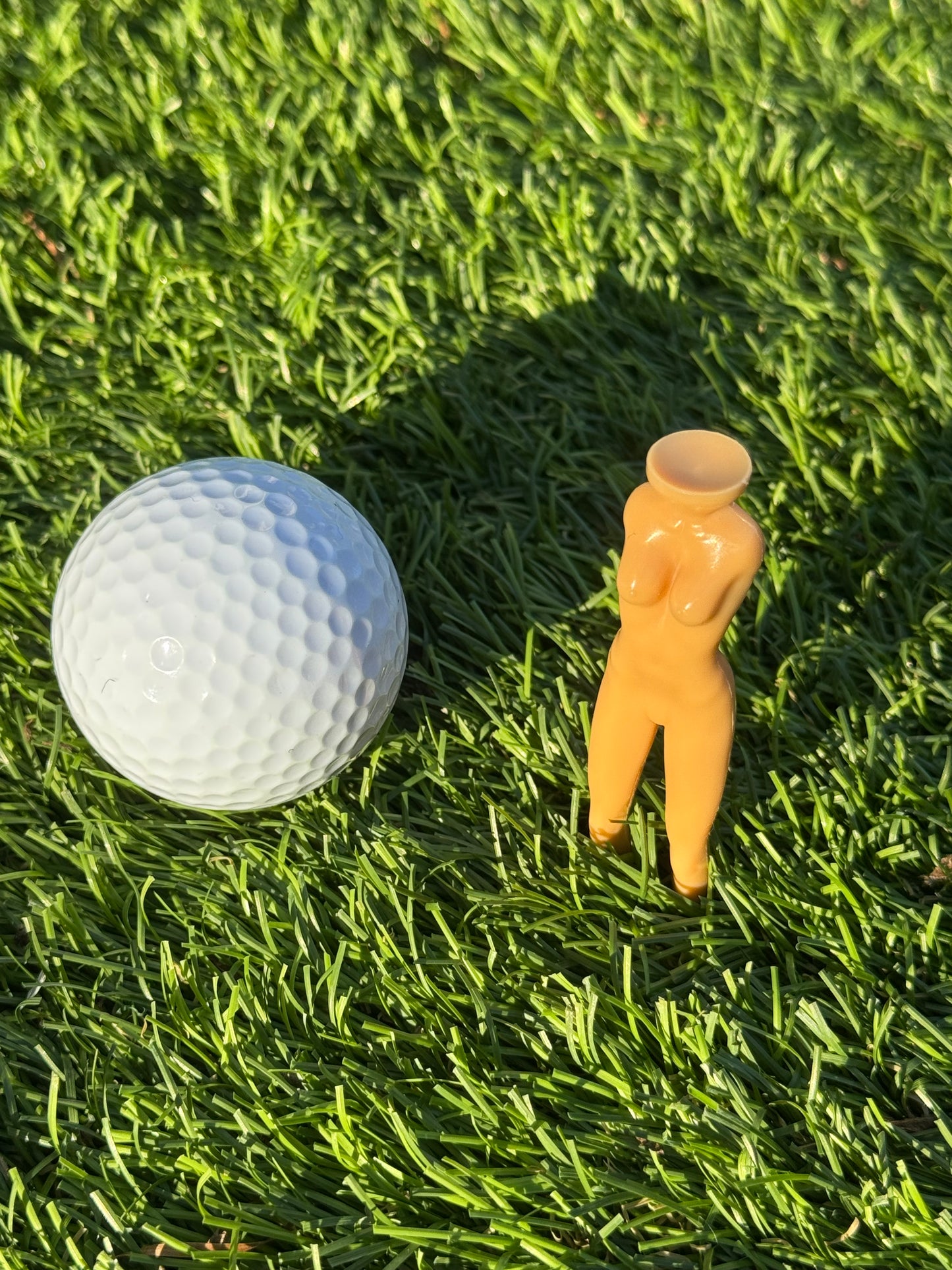 Lot de 5 tees humoristiques