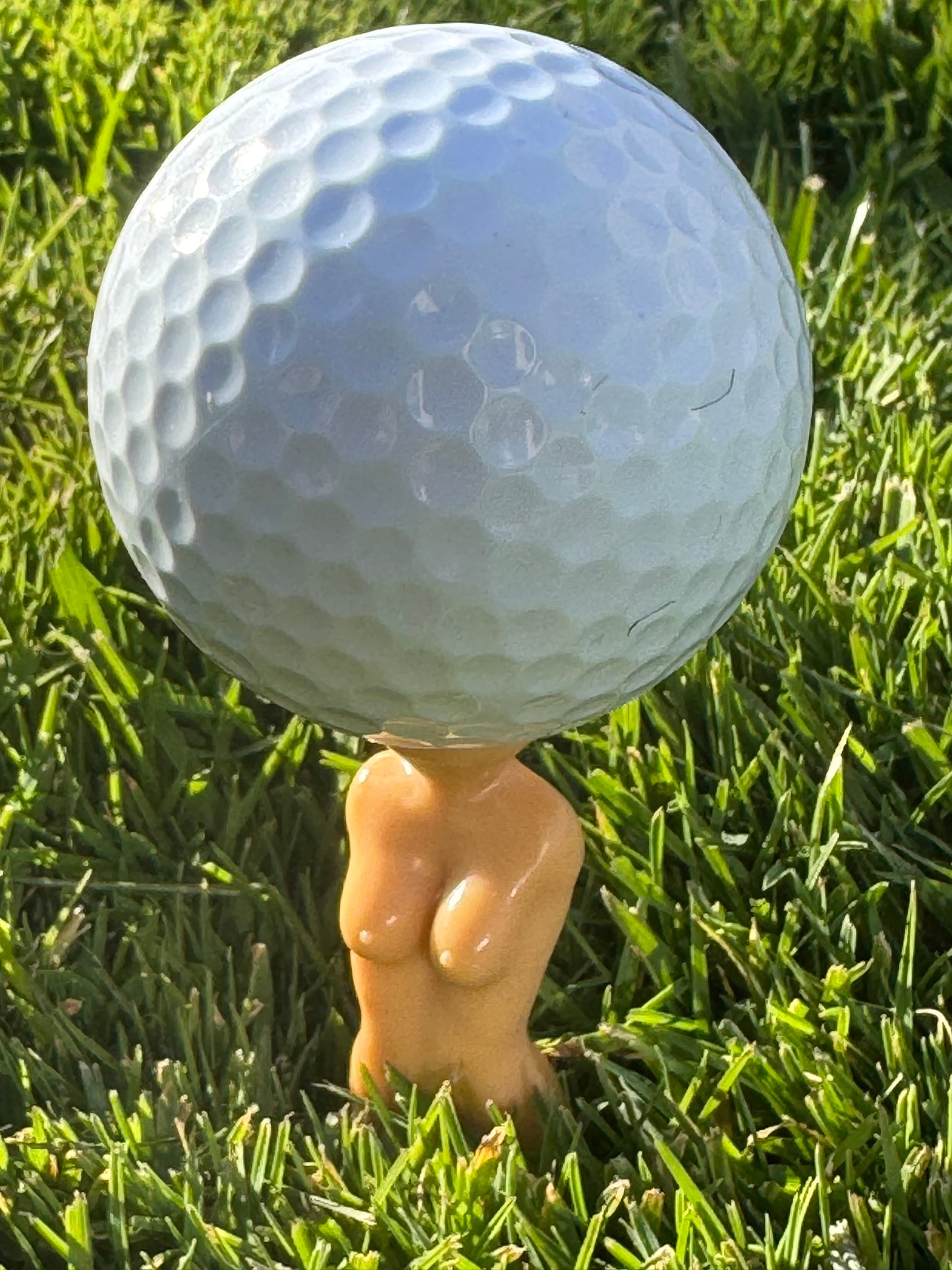 Lot de 5 tees humoristiques